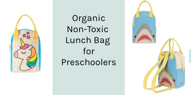 Organic NONTOXIC LUNCH BAG for preschooler