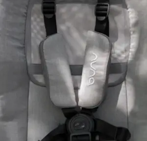 Nuna Triv Close Up of Seat and Harness