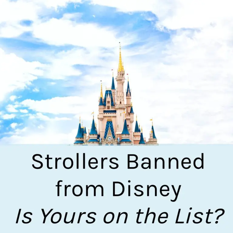 disney bans double strollers