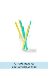 Reusable Straws Kids _ Gifts for Eco-Conscious Kids