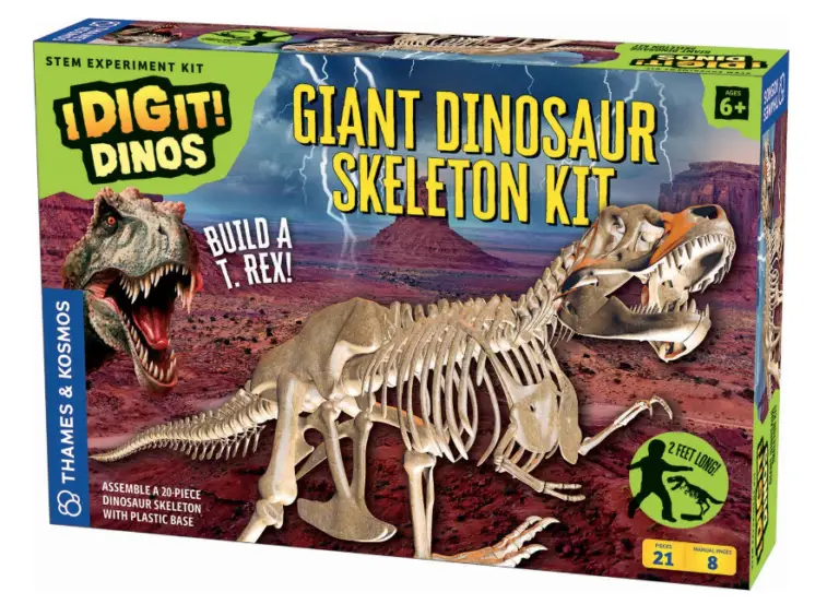 Best Dinosaur Toys | Build a T-rex Skeleton