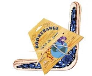 Boomerang | Best Physics Toys | STEM TOYS