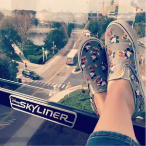 Can Strollers Go on the Disney Skyliner? Disney Skyliner & Mickey Shoes