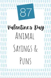 87 Valentine's Day Animal Sayings & Puns