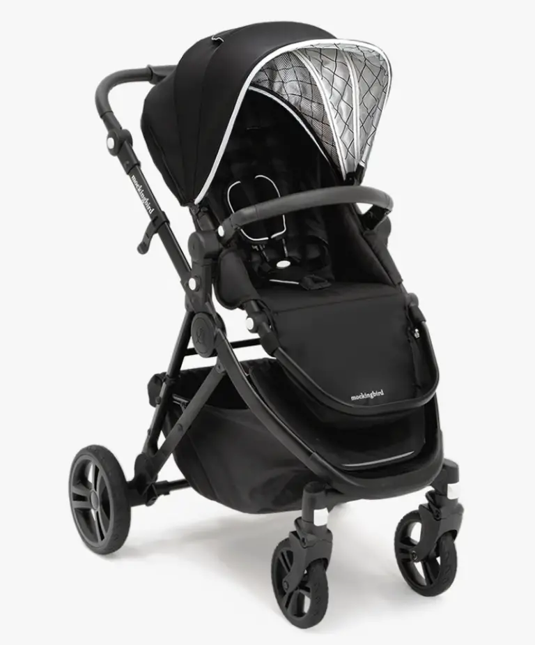 Mockingbird Stroller Review | What Does the Mockingbird Stroller Come With?