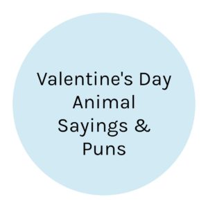 Valentine's Day Animal Sayings and Puns