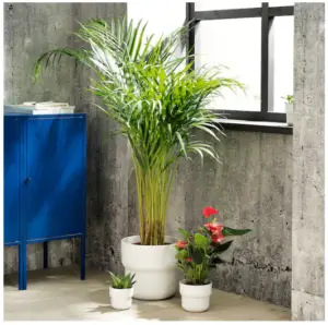 Ikea Montessori planter 2020 recycled