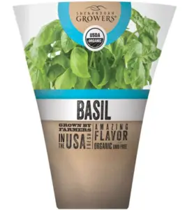Basil Plant - Products That Will Actually Save You Money