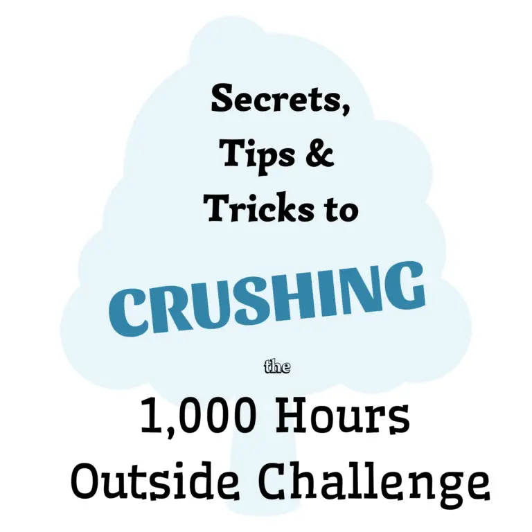 What Car Seats are Compatible with the Mockingbird Stroller? 2021 The