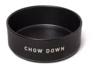Cute dog bowl
