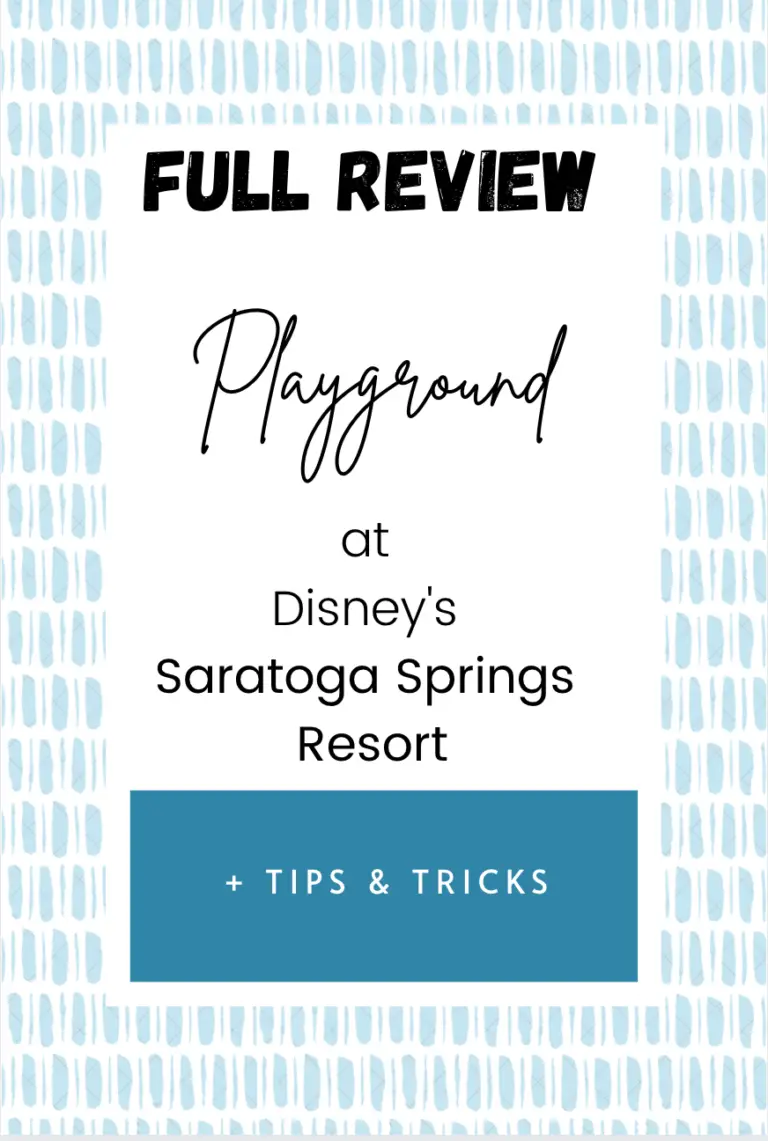 2021 Disney Saratoga Springs Playground