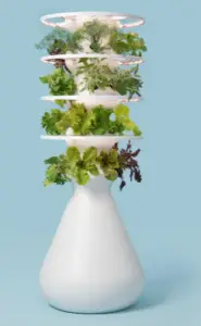Lettuce Grow - Reasons to Buy