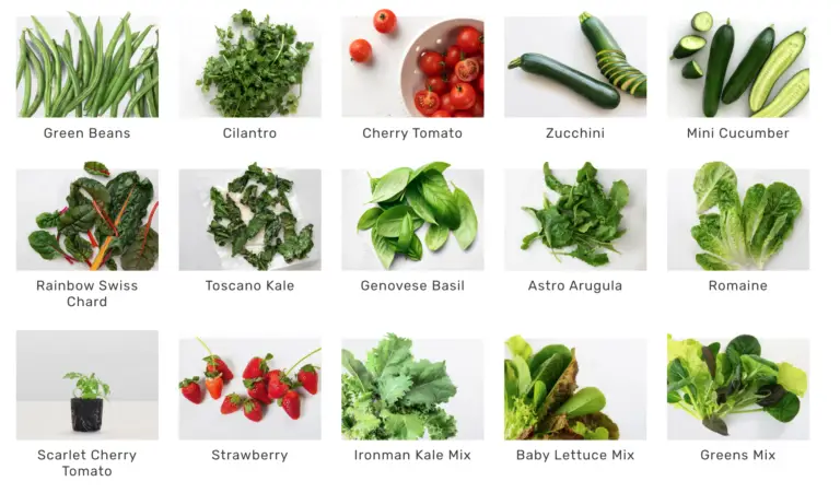 Lettuce Grow Reasons to Buy Variety of Foods