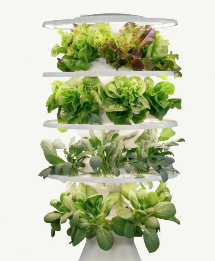 Lettuce Grow Farmstand with Glow Rings