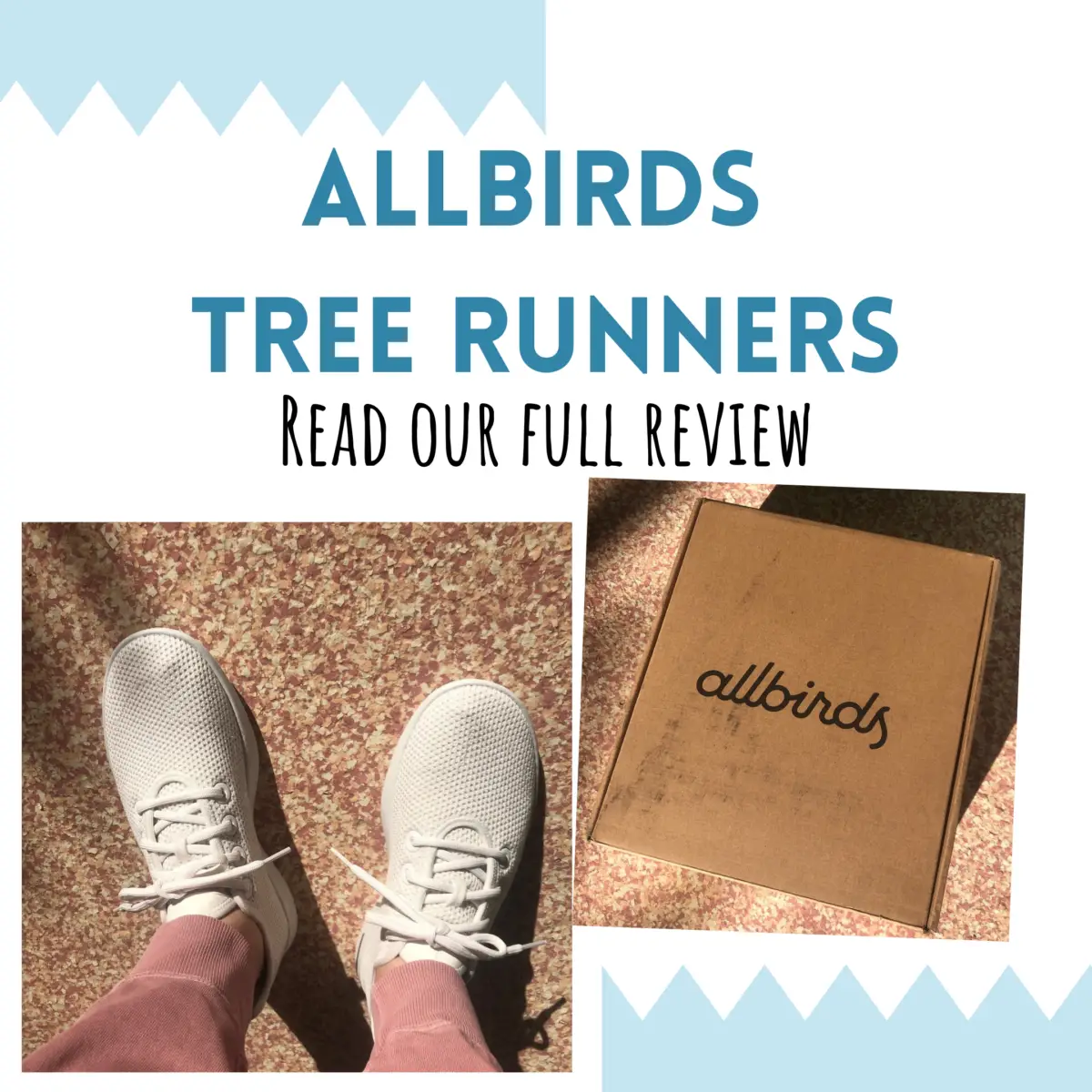 Allbirds Tree Runners Honest Review
