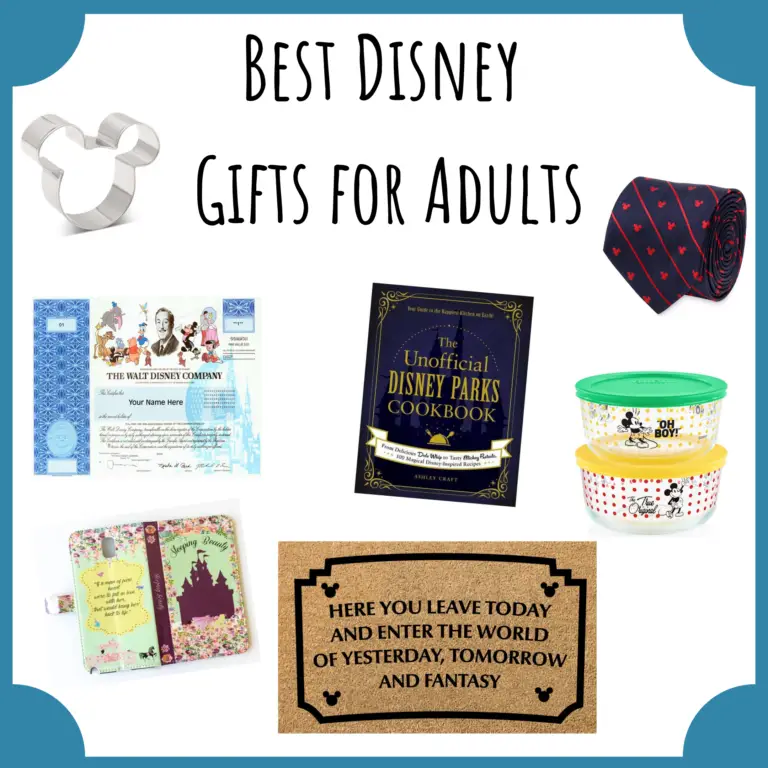 Best Disney Gifts for Adults