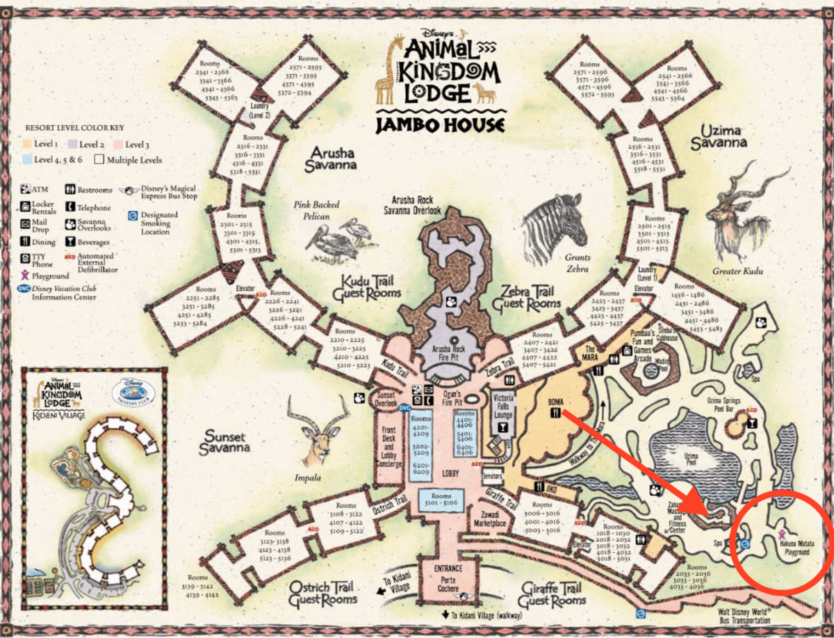 Does Animal Kingdom Lodge have a Playground? – The Modern Mindful Mom