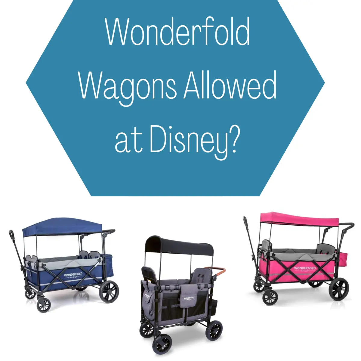 Can you Take Wonderfold Wagons to Disney?
