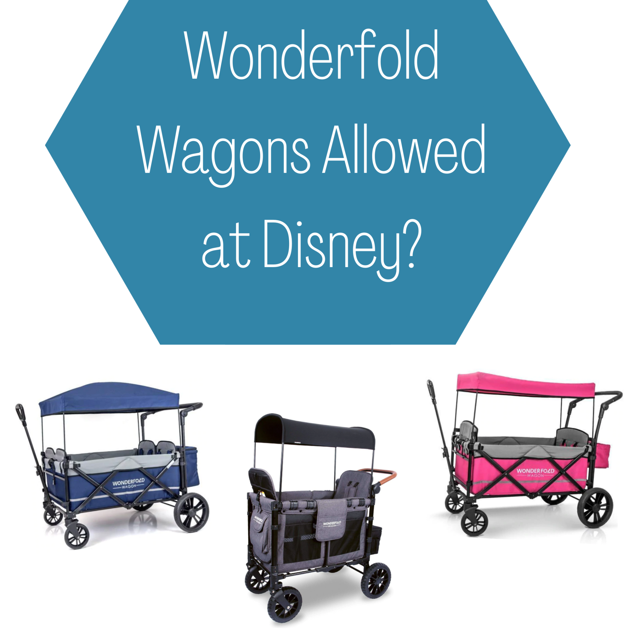 Can You Take Wonderfold Wagons To Disney The Modern Mindful Mom