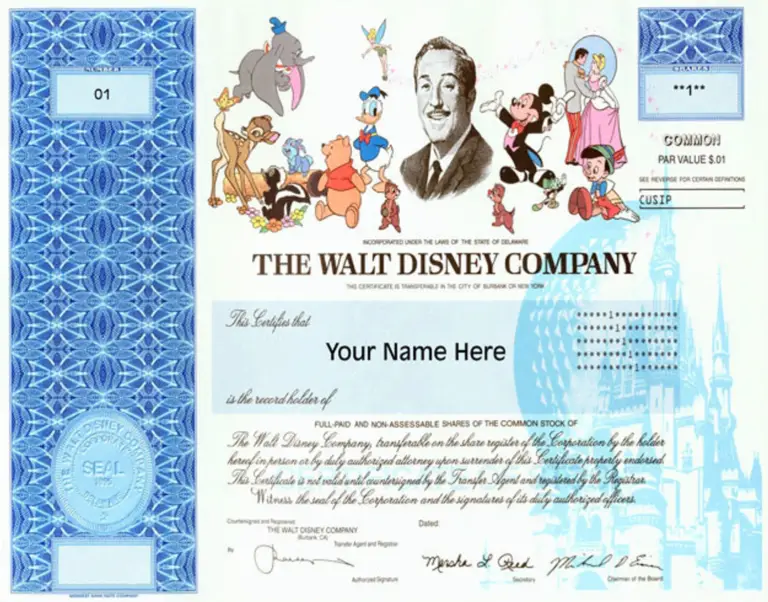Disney Gift for Adult - stock share