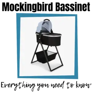 Mockingbird Bassinet Review
