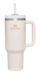 The NEW Stanley Mug | Everything you need to know! – The Modern Mindful Mom