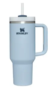 The NEW Stanley Mug | Everything you need to know! – The Modern Mindful Mom