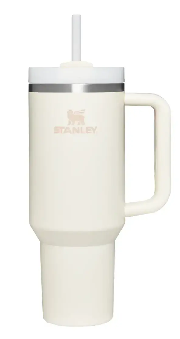 The NEW Stanley Mug  Everything you need to know! – The Modern