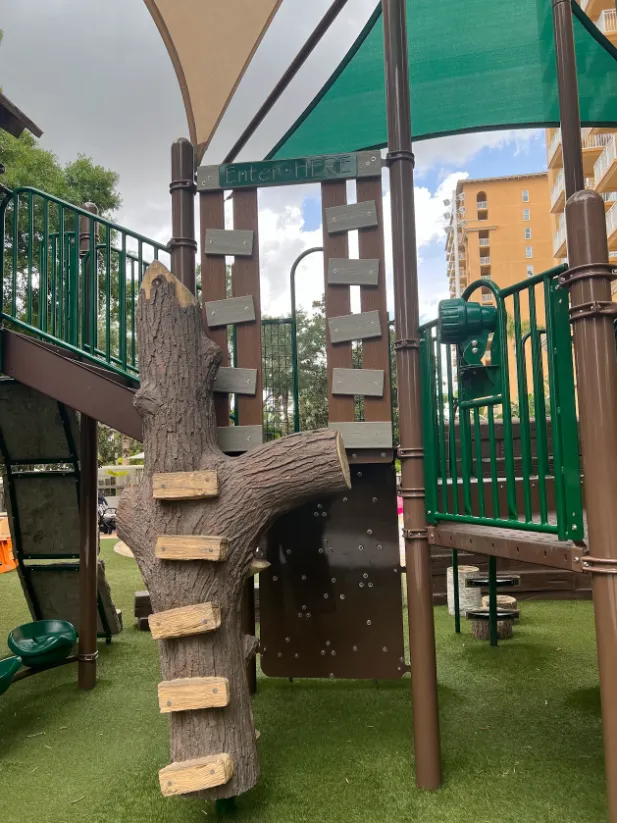 Ritz-Carlton Orlando Review Playground