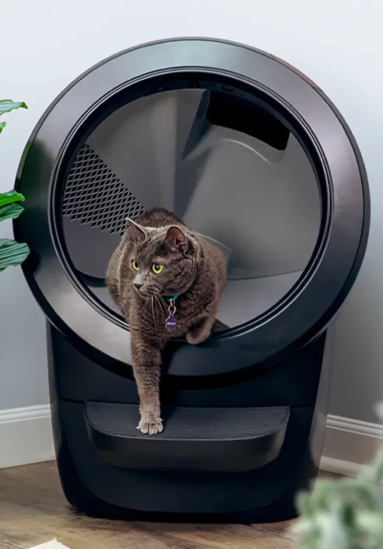 Litter Robot 4 Review black cat