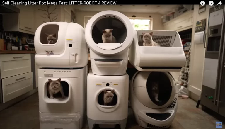 Litter Robot Best Youtube Review - One Man Five Cats